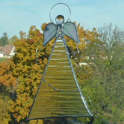 Anděl čirý — foto 1