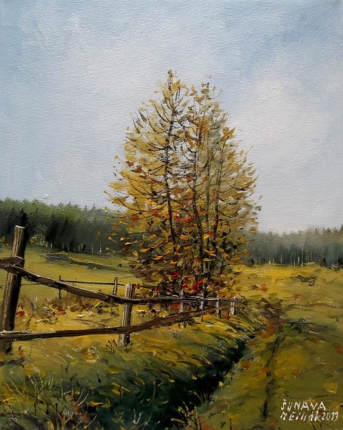 Šumava - Borová Lada - originální malba olejem — foto 1
