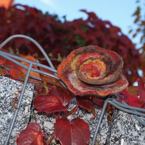 Echt podzim — foto 1