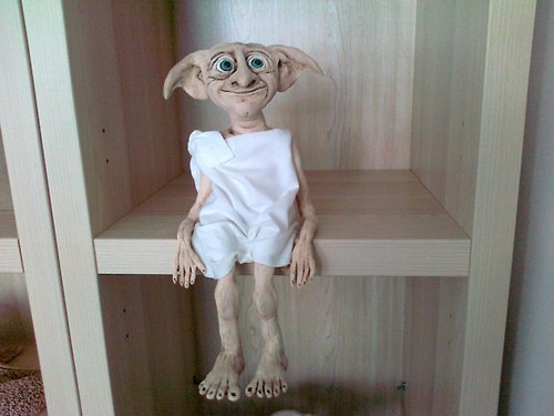 Domácí elf — foto 1