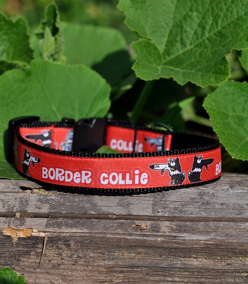 Obojek pro border kolie - červený — foto 1