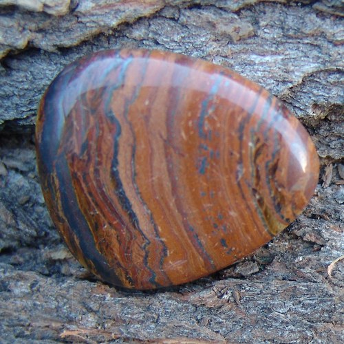 Tygří železo - placka 249 — foto 1