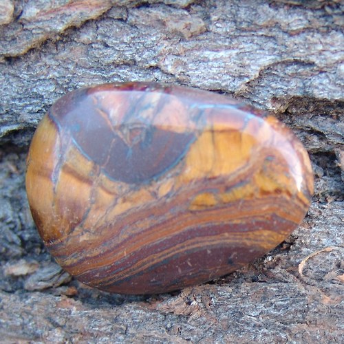 Tygří železo - placka 251 — foto 1