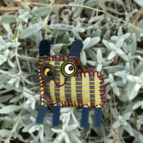 Pan Zebra — foto 1