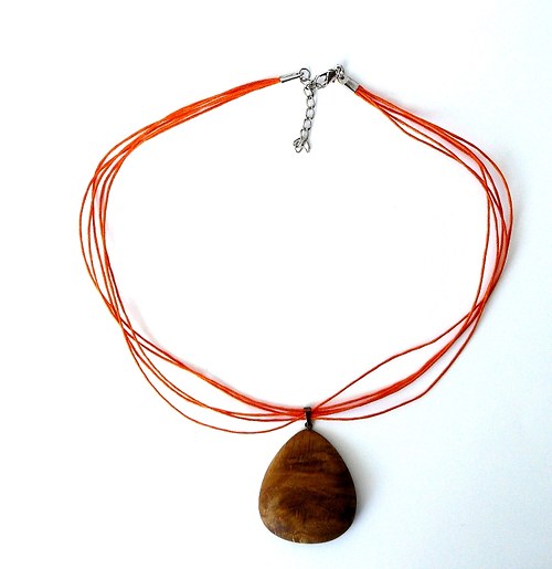 Quercus — foto 1