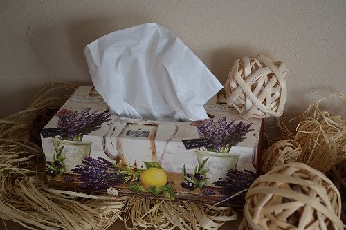 Box na papírové kapesníky levandule — foto 1