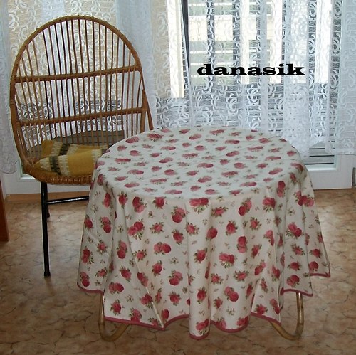 S Růžičkami — foto 1