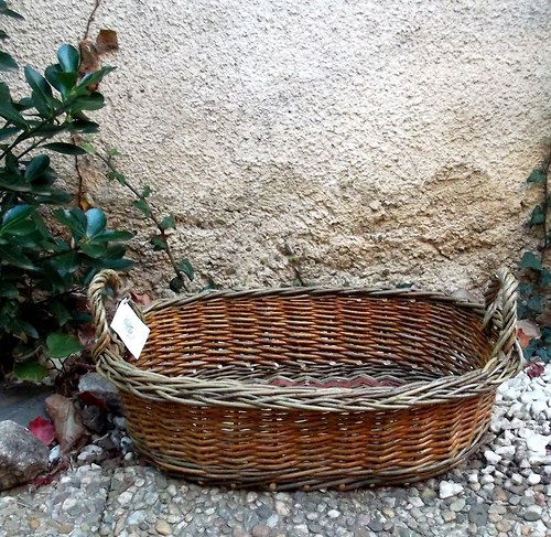 Ošatka na ovoce — foto 1