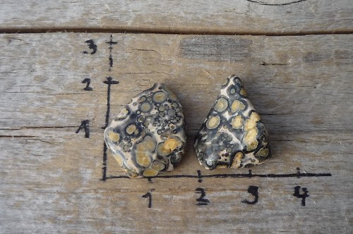 2 x Jaspis leopardí P2962 — foto 1