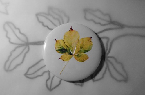 Aesculus hippocastanum. Magnet 56mm. — foto 1