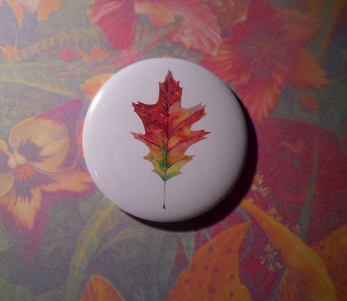 Quercus rubra. Magnet 56mm. — foto 1
