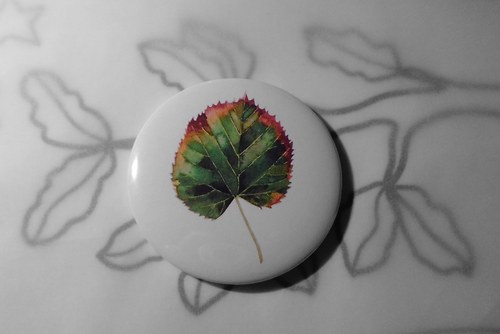 Tilia cordata. Magnet 56mm. — foto 1