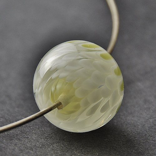 Bílá chrysantéma — foto 1