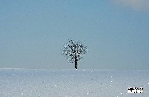 Zimní království .. C — foto 1