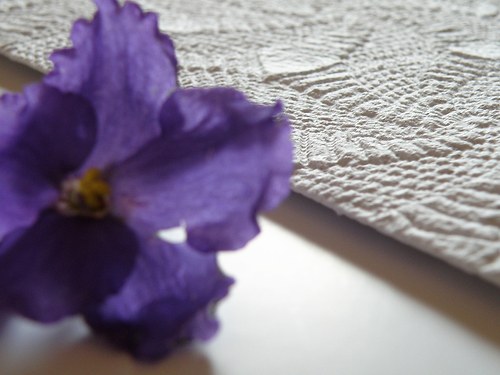 Přání A5 / Krajka — foto 1