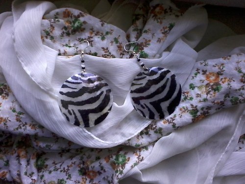 Zebra — foto 1