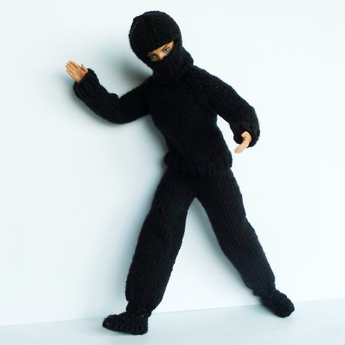 Ninja Ken — foto 1