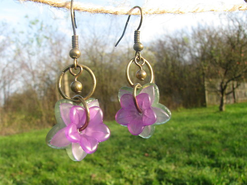 Hepatica nobilis — foto 1