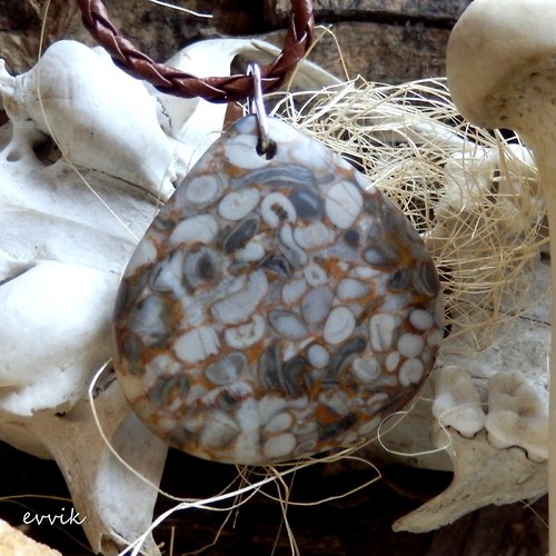 Prvohorní crinoidy — foto 1
