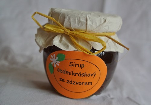 Sirup sedmikráskový se zázvorem — foto 1