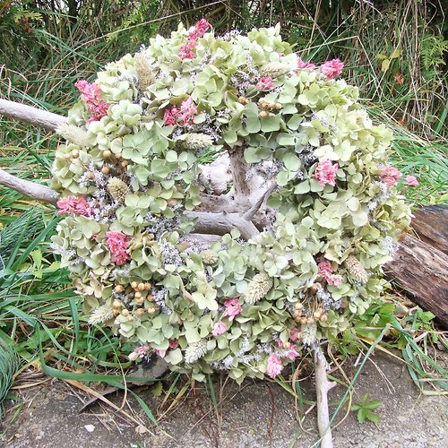 Hortenzie do zelenkava - na přání — foto 1