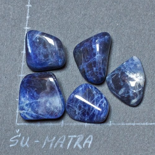 Sodalit - sada — foto 1