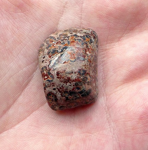 Jaspis leopard — foto 1