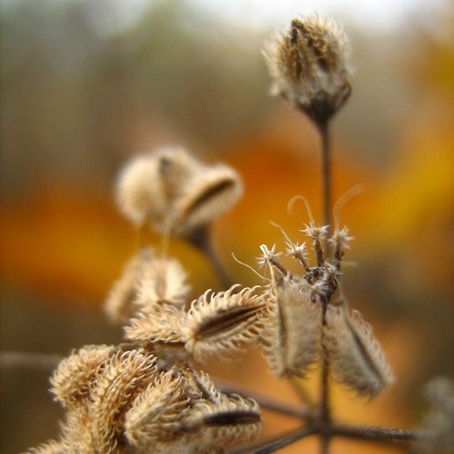 Podzim — foto 1