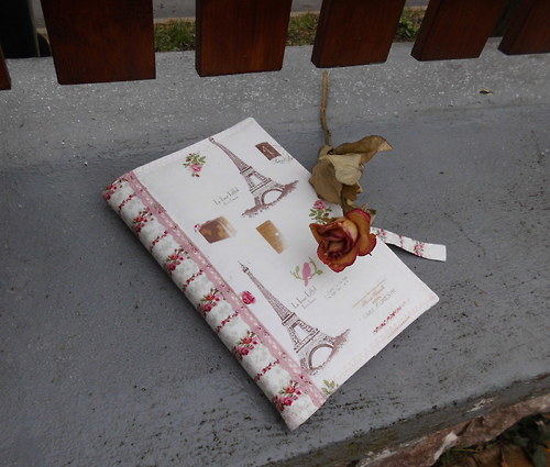 Obal na knihu - Romantická Paříž — foto 1