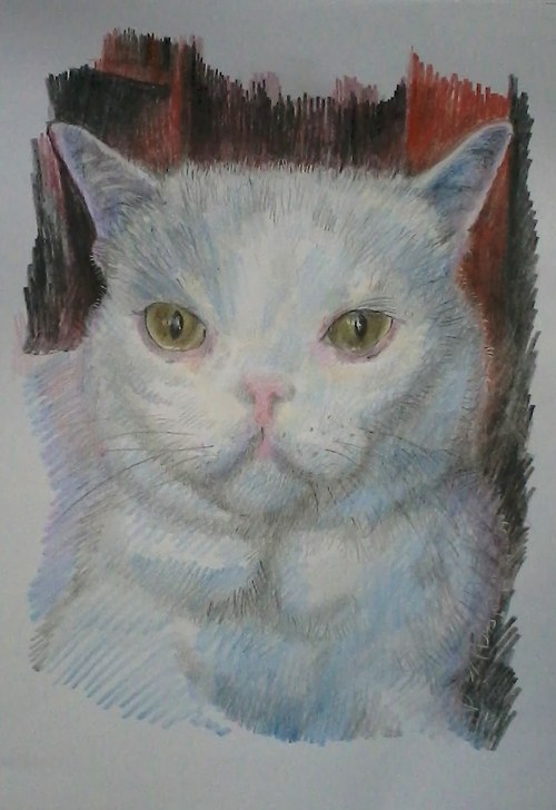 Pejsek a kočička :) — foto 1