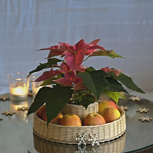 Košík dělený — foto 1
