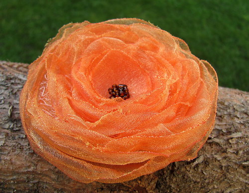 Oranžáda — foto 1