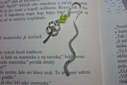 Výprodej!!! Čtyřlístek pro štěstí — foto 1