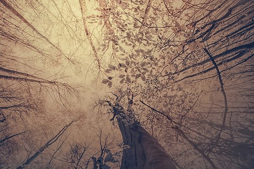 Dialogue II