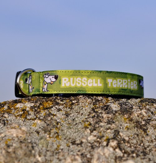 Obojek Russell Terrier zelený — foto 1