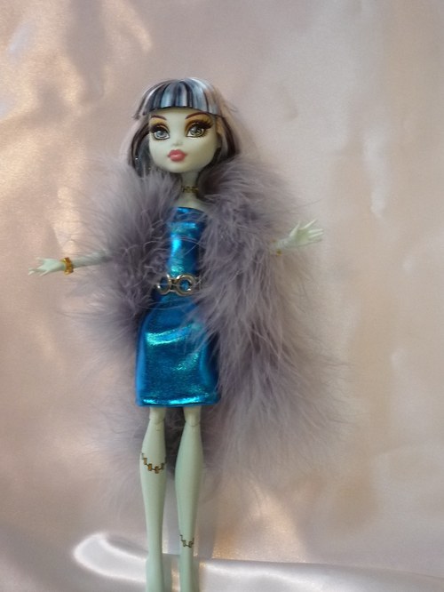 Na párty pro Monster High — foto 1