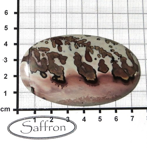 Coffe Bean Stone - obřík — foto 1