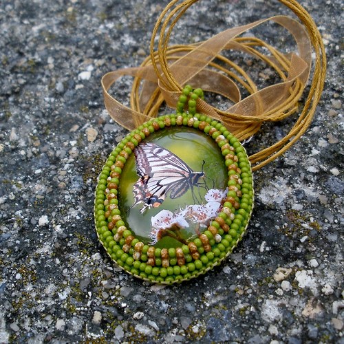 Papilio machaon