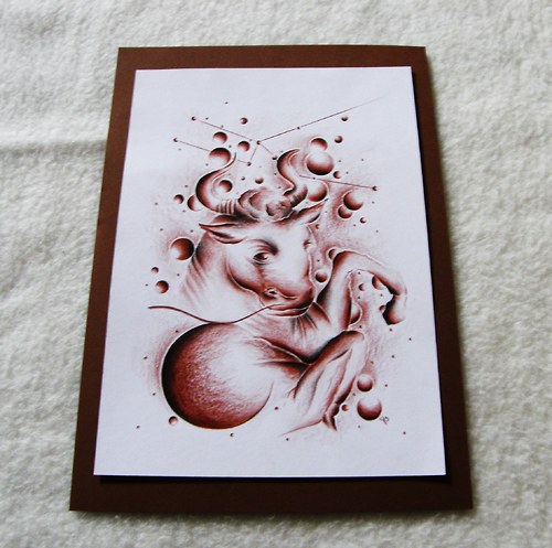 BÝK -(taurus) — foto 1