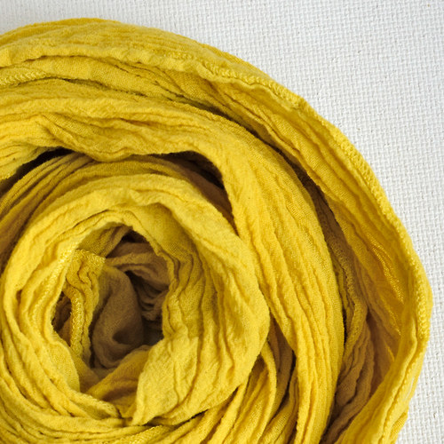 Citron a limetka — foto 1