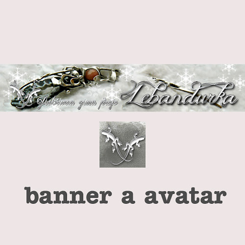 BANNER A AVATAR / na přání — foto 1