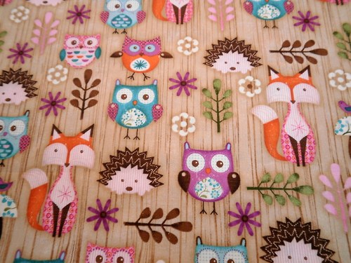 Sovy-Hoot4.. — foto 1