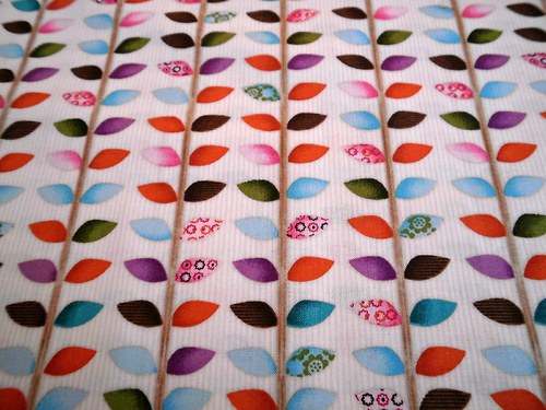 Sovy-Hoot8.. — foto 1