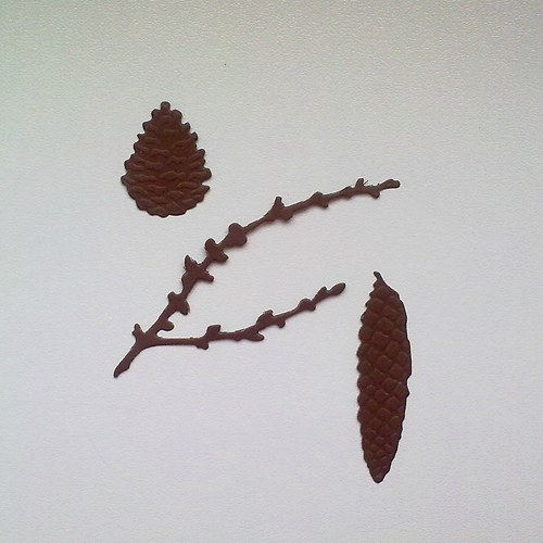 Výsek - Modřínová větvička a dvě šišky