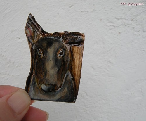Bulíkoidní... brožka — foto 1