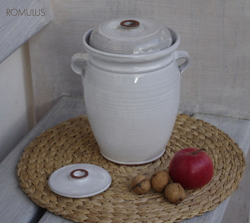 Kvašák bílý (2,3 l) — foto 1