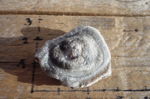 Hadí achát - chalcedonová růže P4379 — foto 1