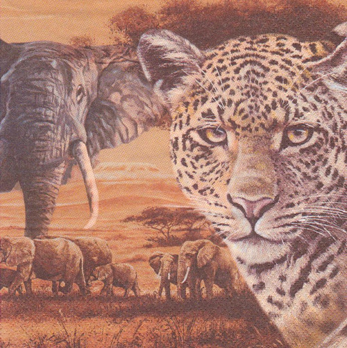 Ubrousek - safari