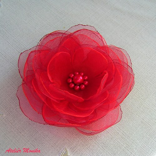 Red Hot flower — foto 1