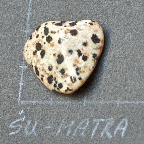 Jaspis dalmatin
